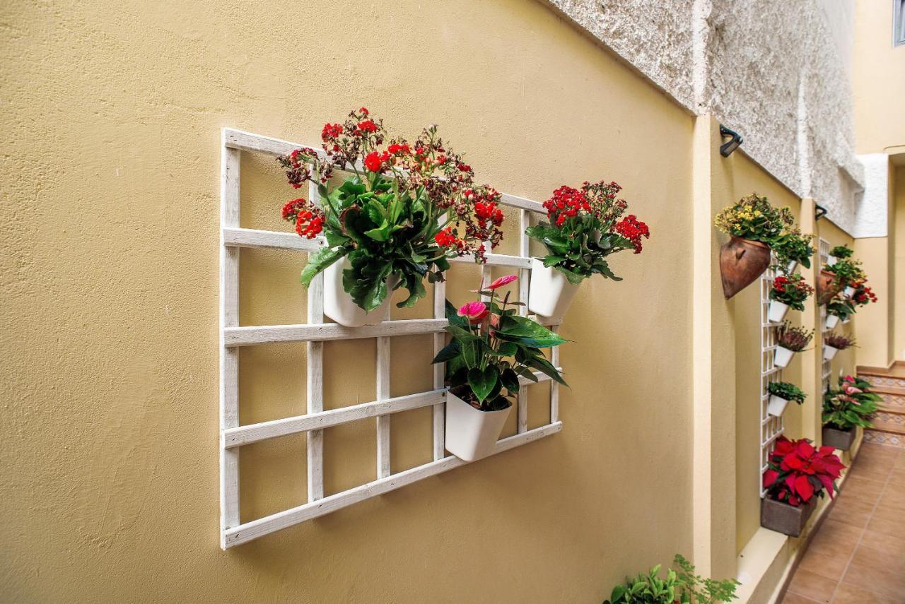 Las Sales Estudio Moya  Exterior photo
